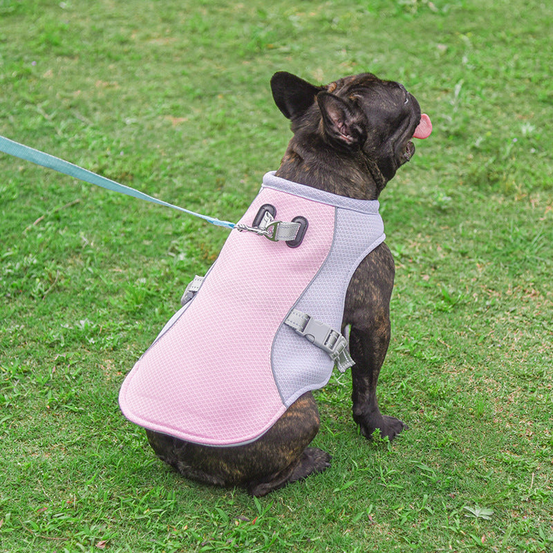 How to Measure Your Dog for a Harness Vest: The 3-Step Perfect Fit Guide